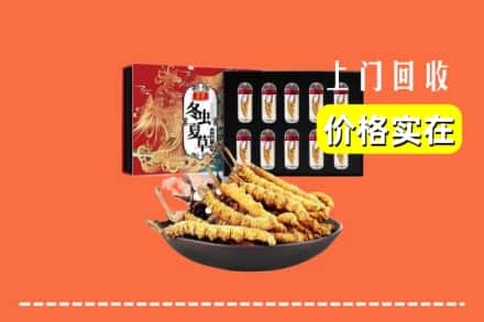 榆林市佳县回收冬虫夏草