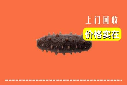 收购资讯:榆林市佳县回收海参