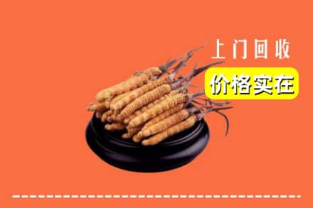 榆林市佳县回收冬虫夏草